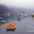 Careel Bay mist